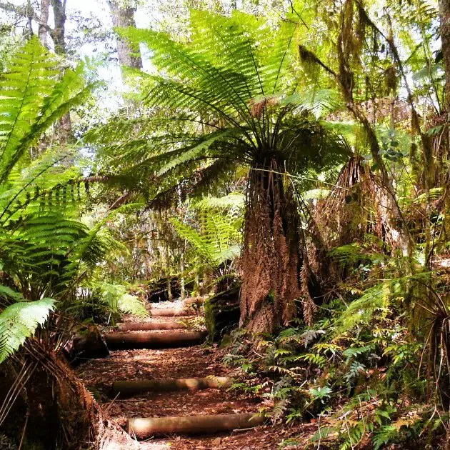 Top things to do Gloucester Barrington Tops