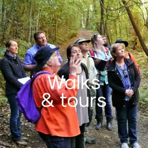 Things to do walks tours Gloucester Barrington Tops