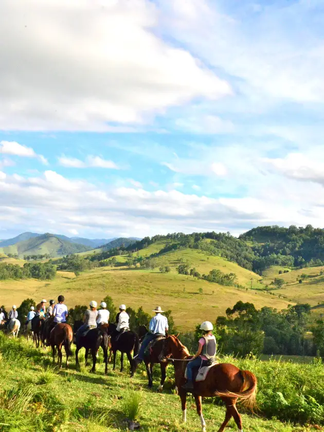 TTop things to do Gloucester Barrington Tops horse riding